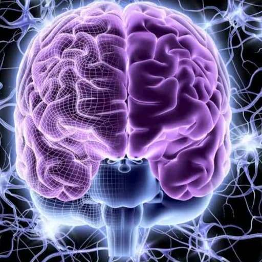 Neuron LK