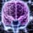 Neuron LK